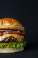 delicious hamburger ready to enjoy with family