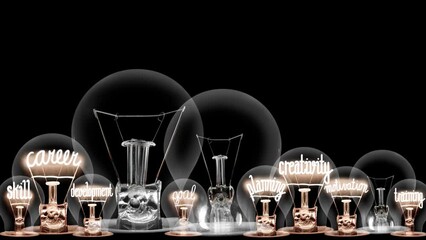 Light bulbs going from dark to light with Personal Growth, Career, Creativity, Education and Skill fiber text on black background. High quality 4k video.