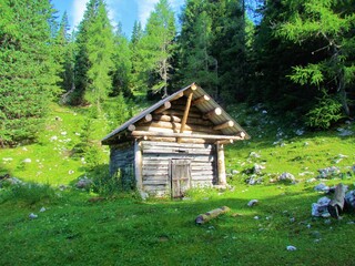 Small wooden hut on a mountain meadow above Pokljuka in Triglav national park (Slovenia) with a larch forest in the back and sun shining on the houses front end
