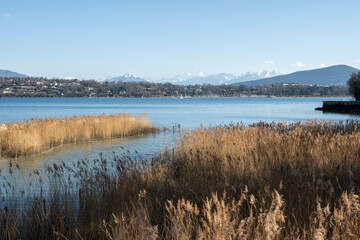 le Mont-Blanc depuis Genève