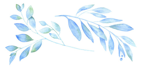 Blue watercolor branch. Hand drawn illustration isolated on white background. Image for romantic design, nature theme.