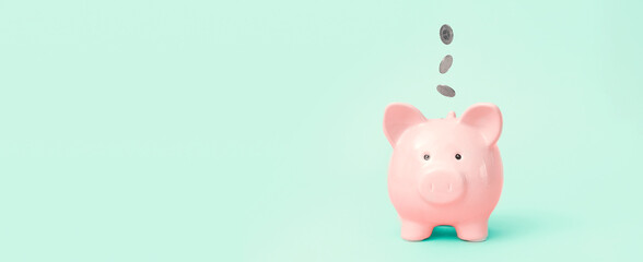 Piggy bank on green background, budgeting concept