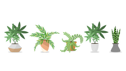 Set Plants planted in indoor pots to decorate the house vector , isolated on white background ,  Flat cartoon flat style. illustration Vector EPS 10