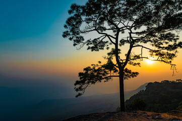 Naklejka na ściany i meble Beautiful view of the sunset on the mountains in the tropical forest of Thailand.