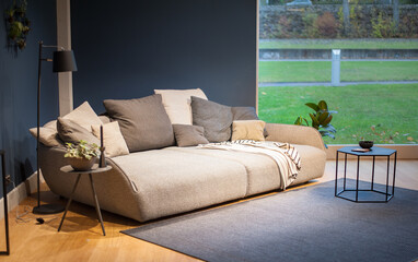 cozy inteligent grey sofa placed by french window cold color scheme