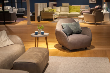 stylish rounded armchair for a luxury living room