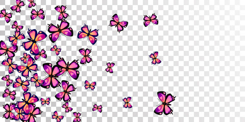 Tropical purple butterflies flying vector illustration. Summer colorful moths. Decorative butterflies flying fantasy background. Sensitive wings insects graphic design. Nature beings.