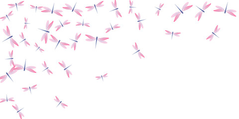 Tropical rosy pink dragonfly flat vector wallpaper. Spring little damselflies. Decorative dragonfly flat kids background. Sensitive wings insects graphic design. Fragile beings
