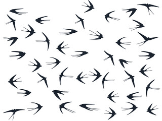 Flying martlet birds silhouettes vector illustration. Migratory martlets group isolated on white.