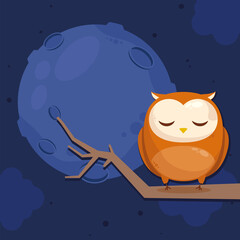 owl sleeping night scene