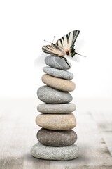 Fototapeta na wymiar Harmony of Life Concept. Butterfly on the Pebble Stone Stack. Metaphor of Balancing Nature and Technology.