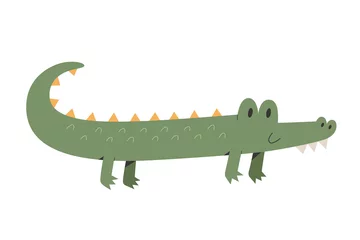 Fototapeten Cute crocodile crawling and smiling, flat cartoon illustration. Funny animal illustration, vector illustration on white background, good for t-shirt print © Favebrush