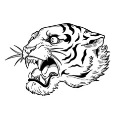 illustration fauna animal head predators tiger