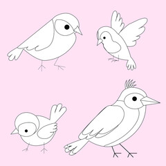 A set of birds coloring. For kids. Feathered inhabitants of the forest. for prints and stickers