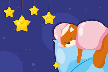 beard sleeping night scene