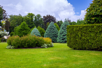 landscaped park with a garden bed and different trees and bushes on a turf lawn, evergreen and seasonal plants in the backyard on overcast weather. - obrazy, fototapety, plakaty