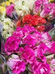 Colorful  Roses in a Flower Shop. Flowers Background 