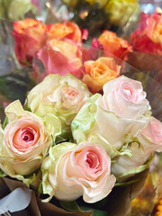 Colorful  Roses in a Flower Shop. Flowers Background 