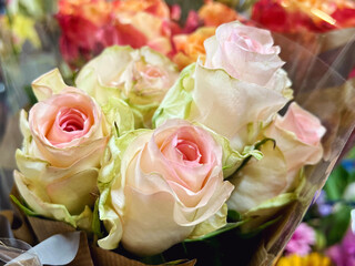 Colorful  Roses in a Flower Shop. Flowers Background 