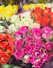 Colorful  Roses in a Flower Shop. Flowers Background 