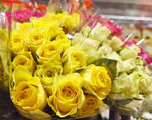 Colorful  Roses in a Flower Shop. Flowers Background 