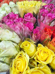Colorful  Roses in a Flower Shop. Flowers Background 