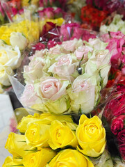 Colorful  Roses in a Flower Shop. Flowers Background 