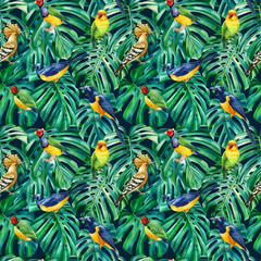 Monstera leaves floral illustration, hoopoe and starling birds. seamless pattern, jungle design