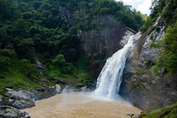 Dunhinda waterfall in the forest