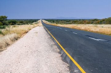 Landscape with straight road / Landscape with straight road left and right trees to the horizon, Namibia, Africa.