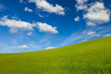 Obraz premium Green Field With Hill and Blue Sky and Clouds
