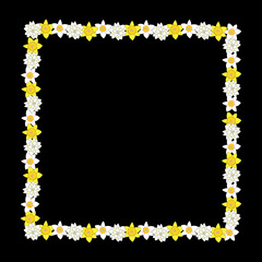 Obraz premium A frame of yellow daffodil flowers with black background