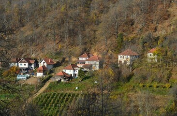 Fototapeta na wymiar a small mountain village in the fall