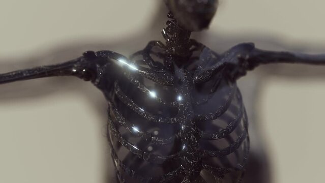 glow skeletal bones of human