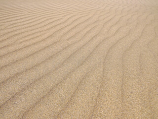 Fototapeta na wymiar Arena blanca de la playa de Maspalomas en la isla de Gran Canaria, España. Paisaje desértico y costero diseñado por el efecto del viento sobre la arena.