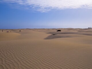 Turistas y bañistas en el campo de dunas de la playa de Maspalomas en la isla de Gran Canaria, España. Paisaje desértico y costero diseñado por el efecto del viento sobre la arena.