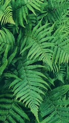 Textured photo of a fern. 