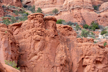 Red Rock rises above the Arizona floor