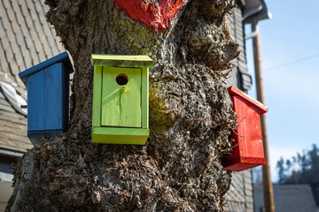 Bunte Nistkästen am Baum