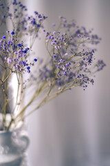 Dried flowers of lilac gypsophila in vase.Abstract blurred background of lilac tones very peri color of the year 2022.