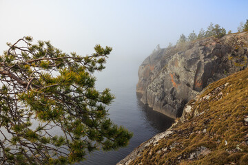 Rocks and lake in summer, clear day, pine branches on the side, Karelia.