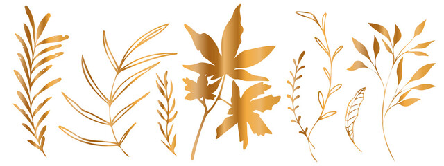 Fototapeta na wymiar Vector plants and grasses in gold style with shiny effects. Minimalist style. Hand drawn plants. With leaves and organic shapes. For your own design.