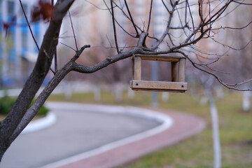 A bird feeder hangs from a tree near the school. Caring for the environment, care, environmentally...