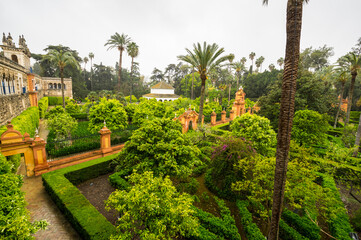 Obraz premium View of the garden in the Alcazar palace