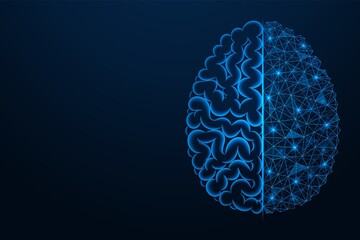 Combining the human brain with the cybernetic mind. Connecting convolutions with a polygonal network. Blue background.