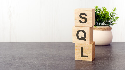 letters of the alphabet of sql on wooden cubes, green plant on a white background