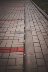 Cigarette butts on the street. Pollution of the environment and neglect of garbage. Urban environment and education