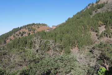 Fototapeta na wymiar Berglandschaft bei Vega de San Mateo auf Gran Canaria