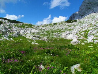 Zeleno jezero or green lake in Triglav lakes valley in Triglav national park and Julian alps,...