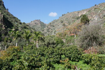 Berglandschaft auf Gran Canaria
